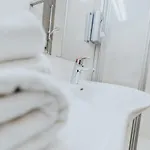 Silberfux
