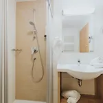 Silberfux فندق