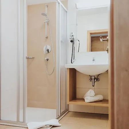 מלון Silberfux 4*