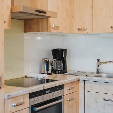 Silberfux סנט ויט אים פונגאו