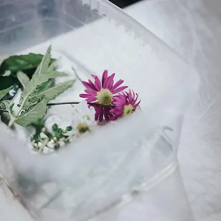 Silberfux 4* 장크트 바이트 임 퐁가우